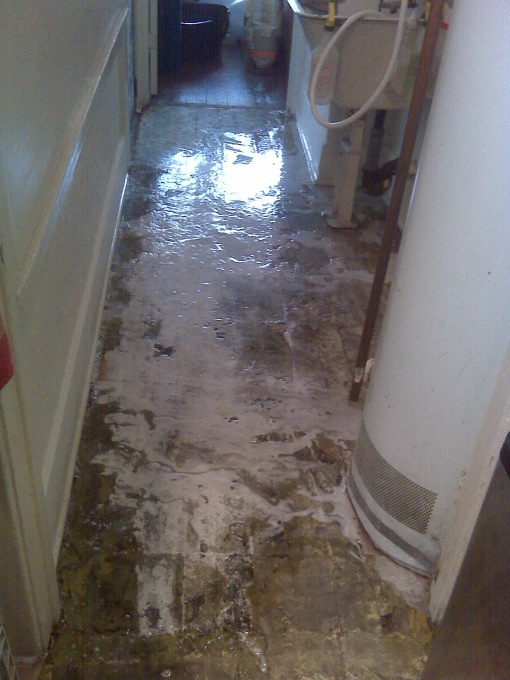 bleaching the hell out of the underlying wood to kill the smell and disinfect the cat piss permeating the subfloor